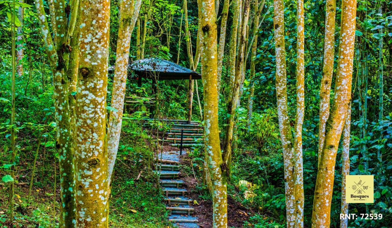 Hotel Bosques De La Pradera Manizales Exterior foto